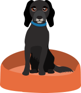 Top air conditioning experts dog